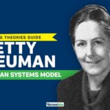 Neuman Systems Model